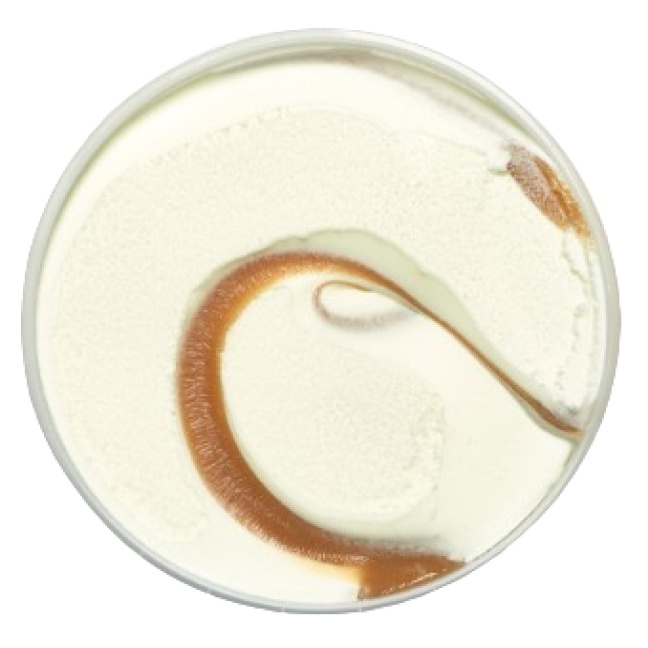 Caramel ice cream