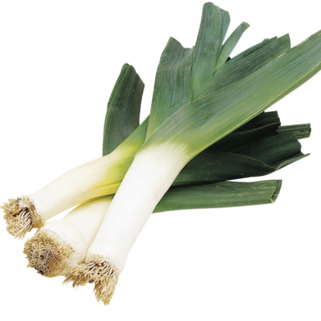 Leek