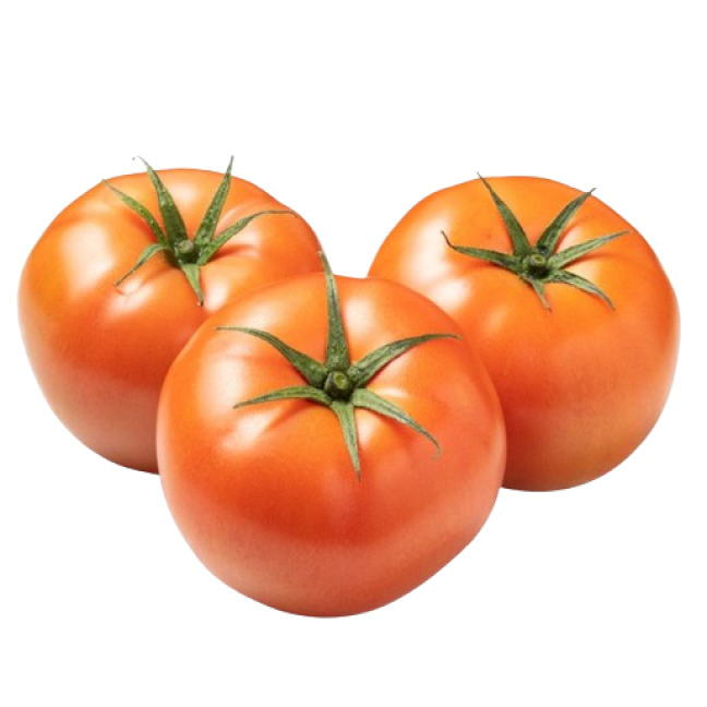 Tomate des champs