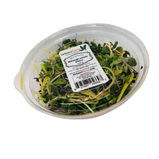 Mélange de salade bistro [bol]