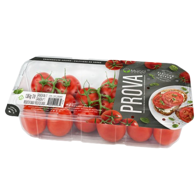 Prova Tomato