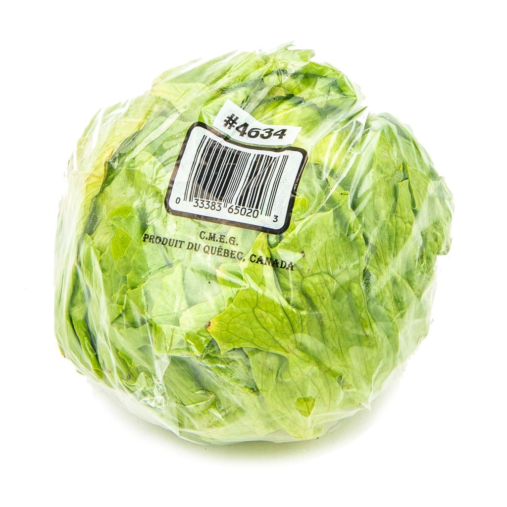 Iceberg Lettuce