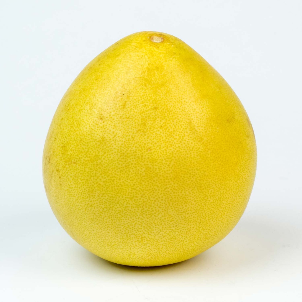Pomelo