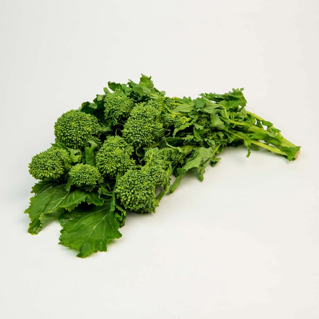 Rapini