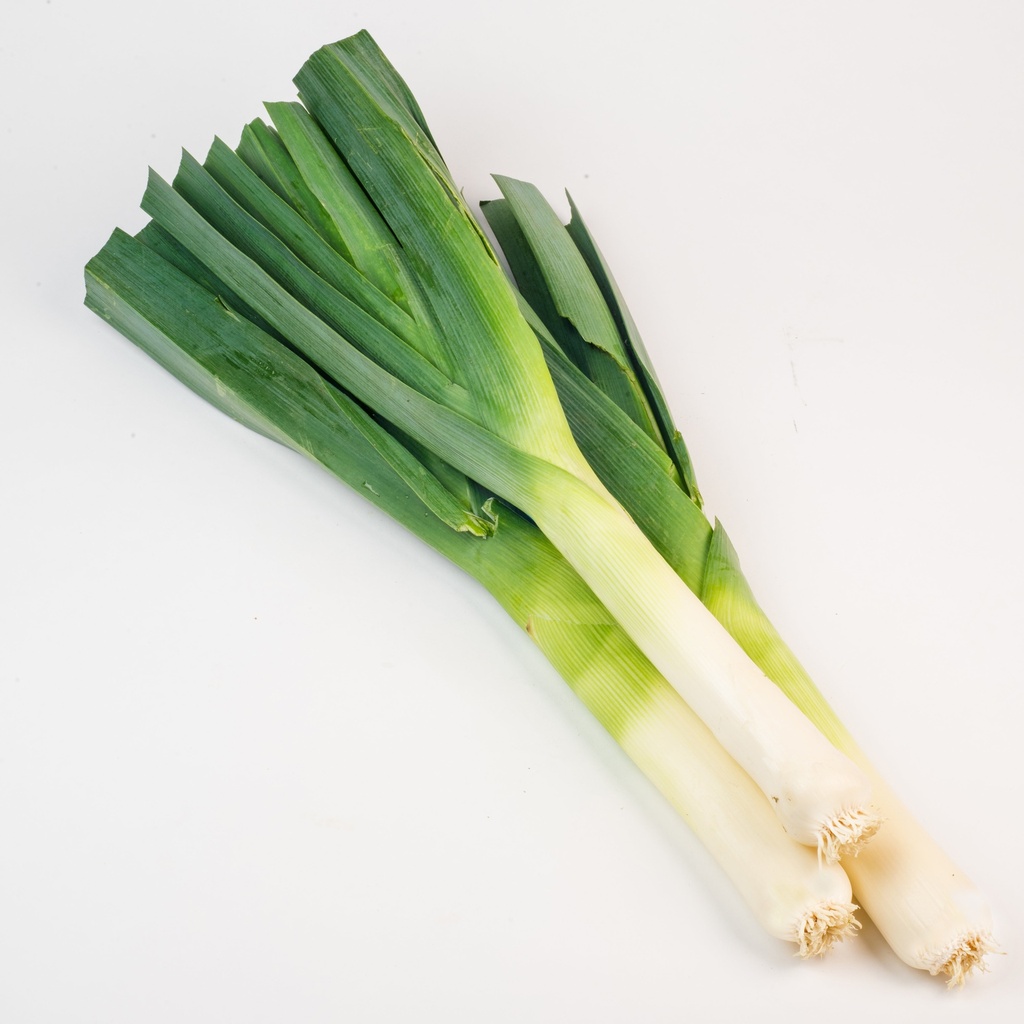 Leek