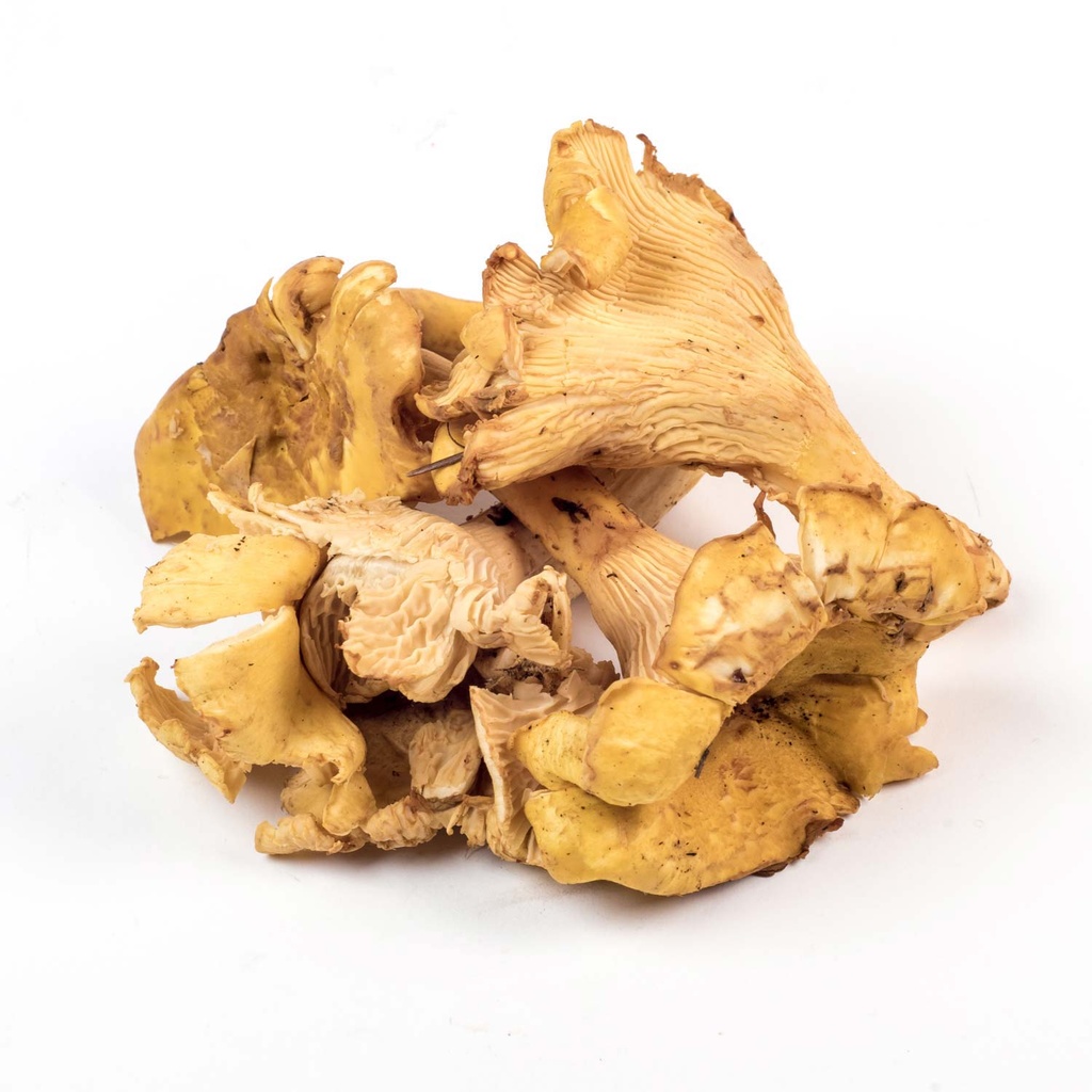 Champignons frais pleurotes 2 lb