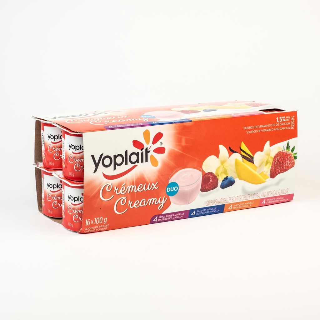 Yogourt crémeux duo assorti x16