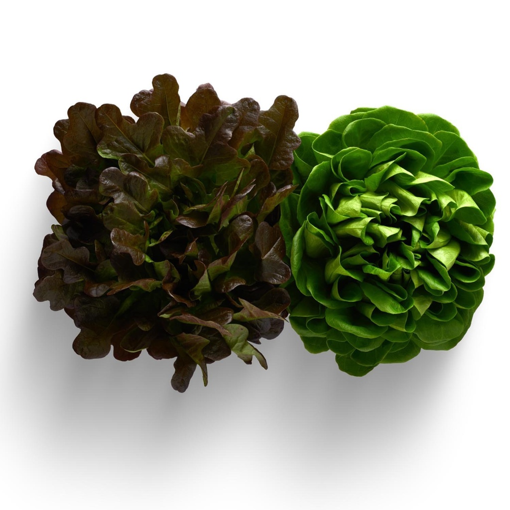 Mirabel Flower Lettuce x2