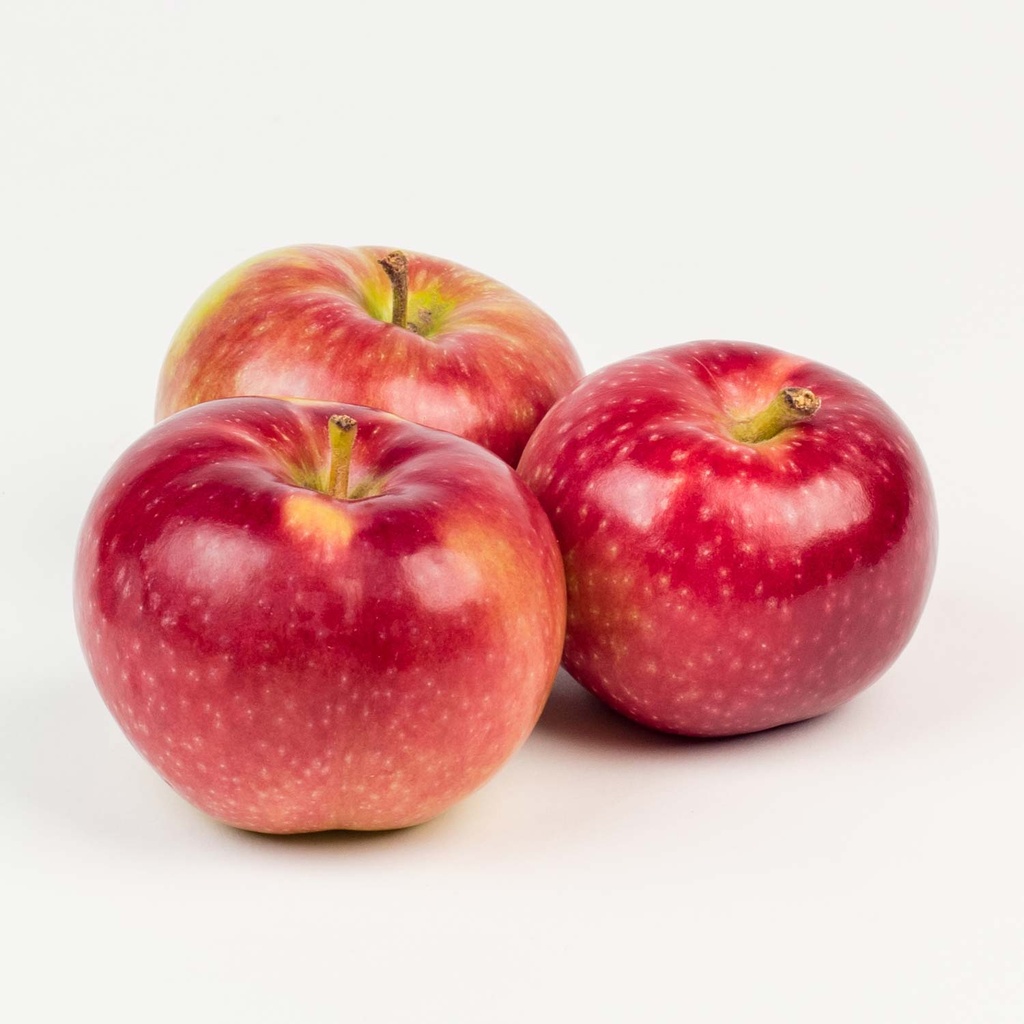 Pomme Cortland 1,36kg