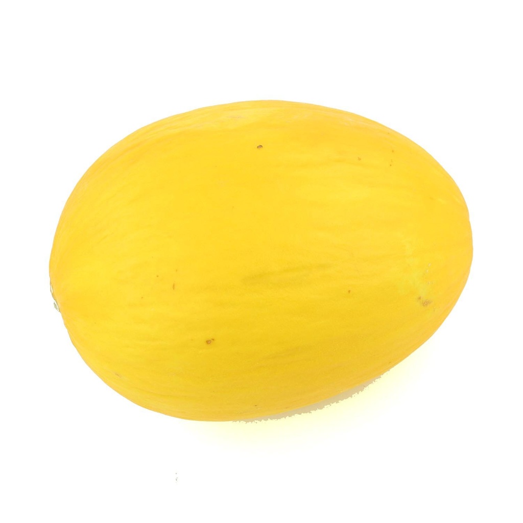 Melon canari