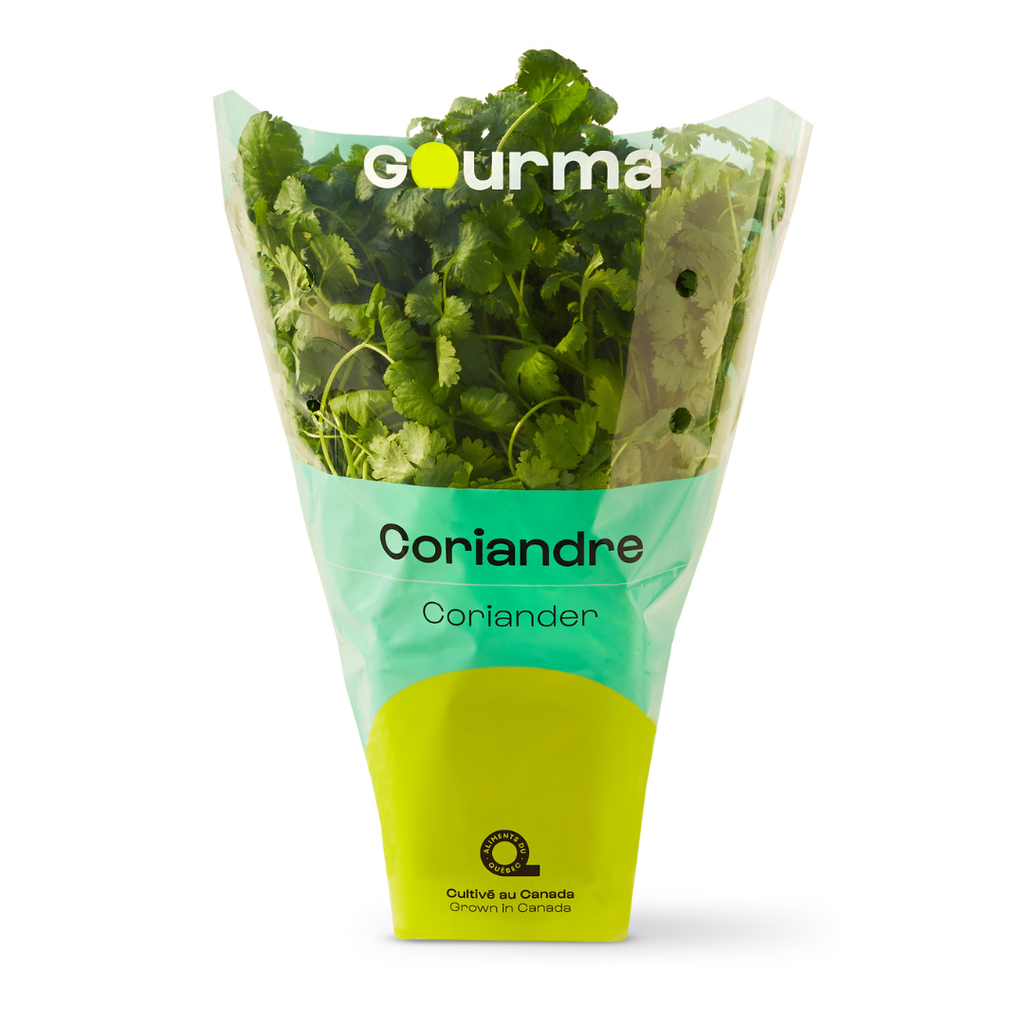Coriander