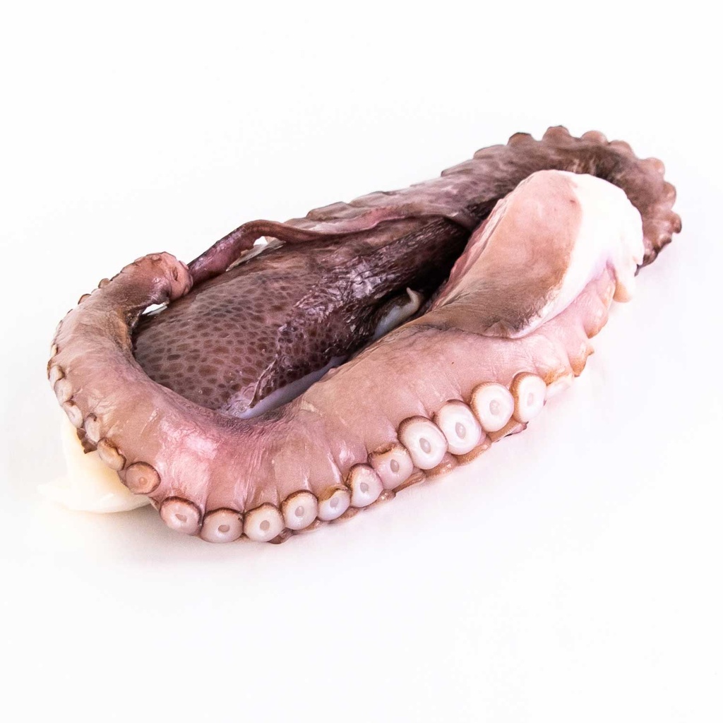 Octopus Legs