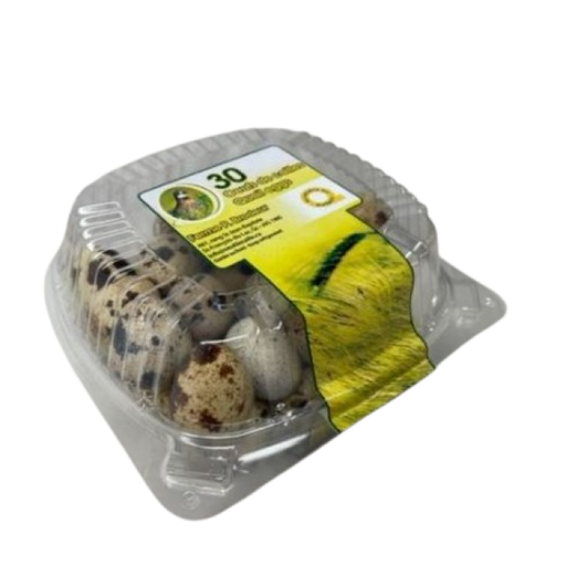 [AUB-1353] Quail eggs