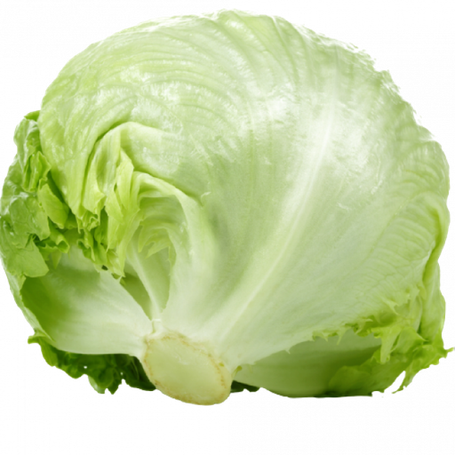 [AUB-10214] Iceberg lettuce gr24-30