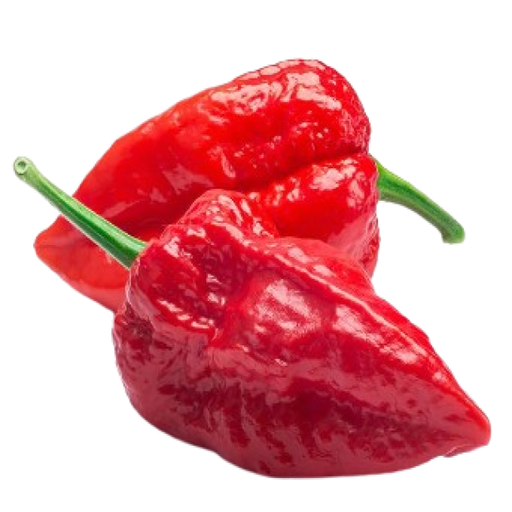 [AUB-15687] Red grape tomato