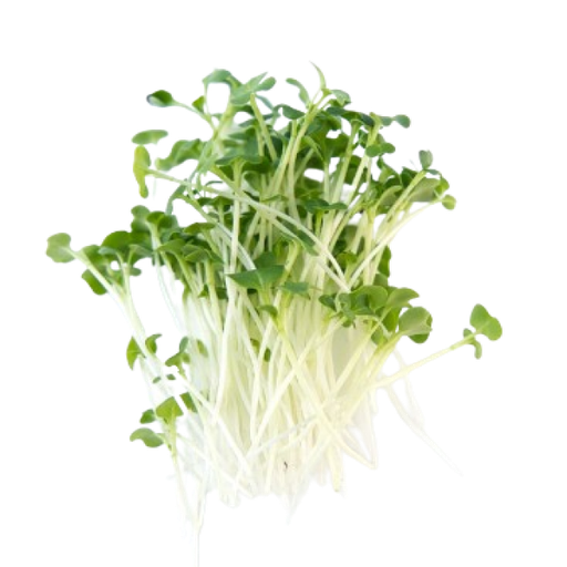 [AUB-15943] Mustard sprout