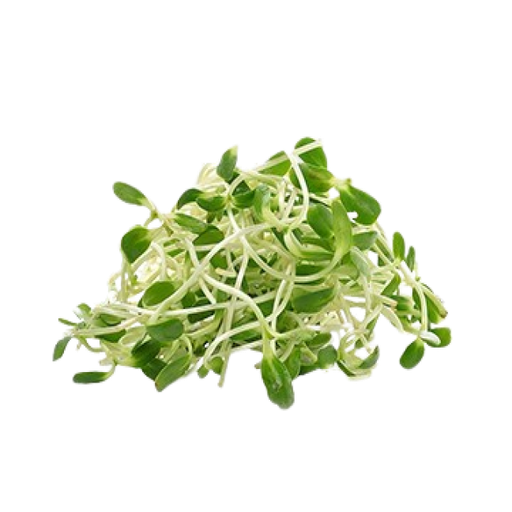 [AUB-16033] Sunflower sprout