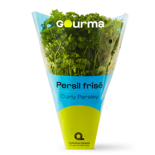 [MAY-12390] Persil frisé